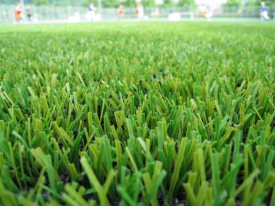 Artificial turf Fakesville