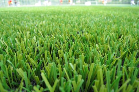 Artificial Grass near me Fakesville SO45