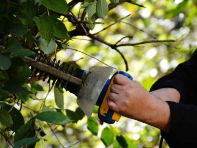 Fakesville hedge cutting season