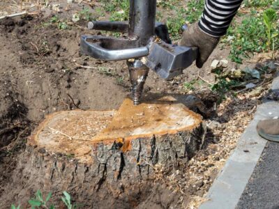 Stump grinding near me Fakesville