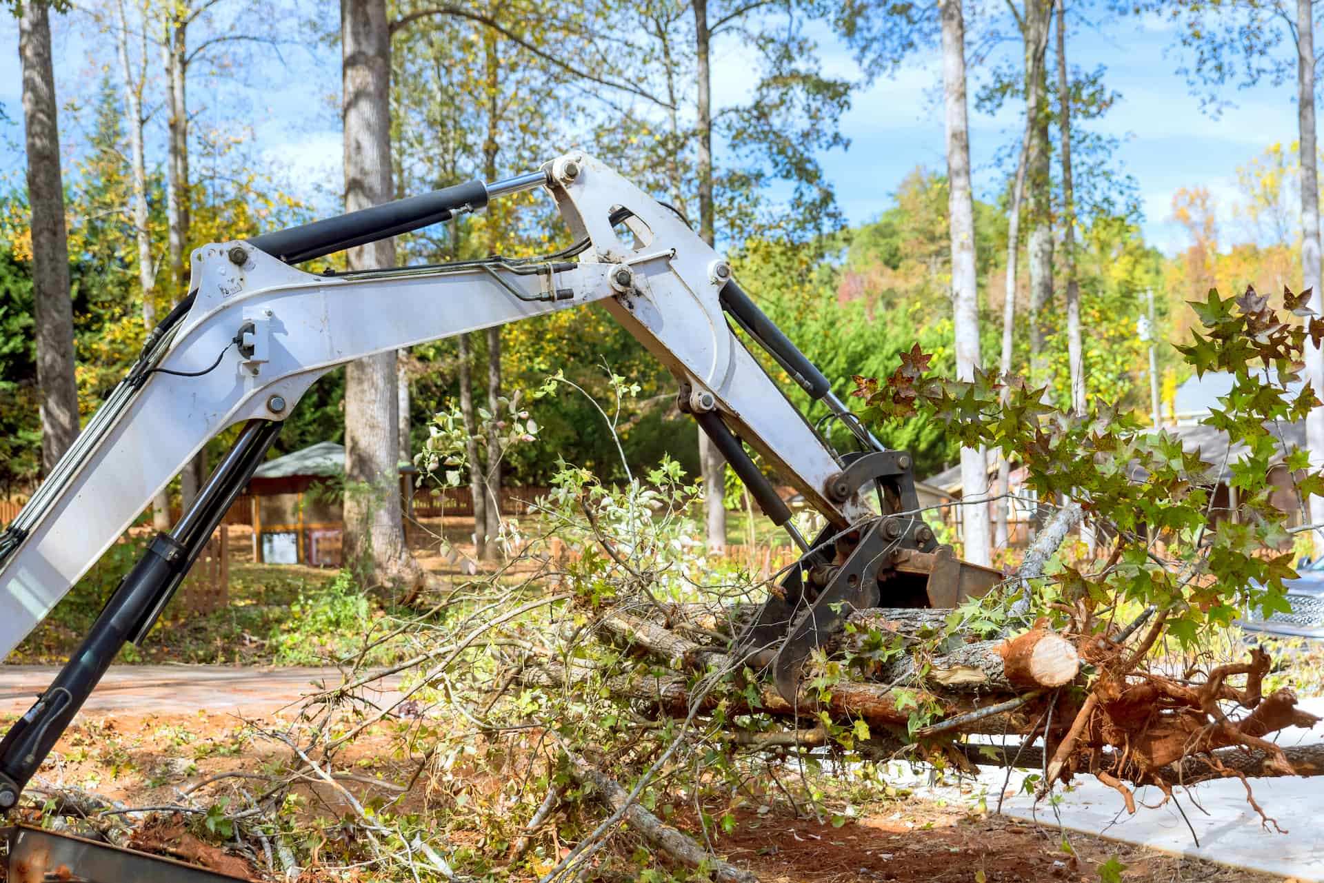 Site clearance company near Cardiff