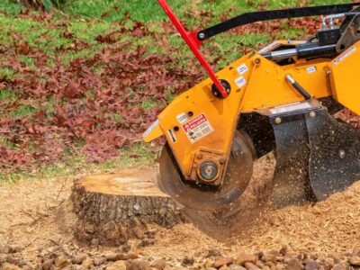 Stump grinding Fakesville