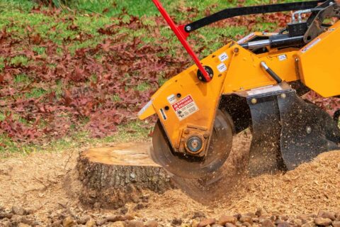 Tree Stump Grinding Services Cardiff