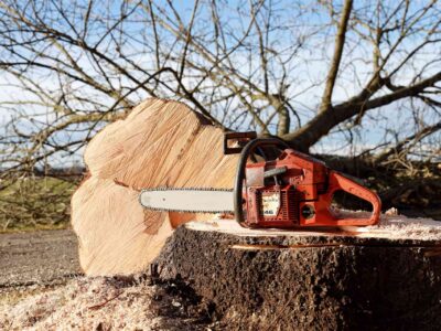 Fakesville tree felling