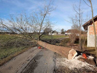 Site clearance services Fakesville