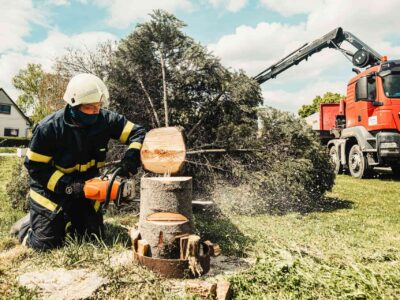 Fakesville tree surgeon